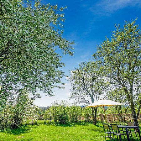 Amazing Holiday Home In Porcheresse Daverdisse With Terrace エクステリア 写真